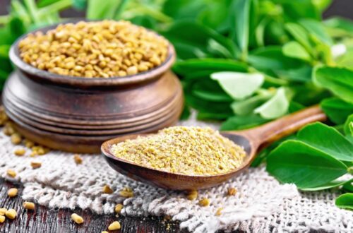 What Are The Benefits Of Fenugreek