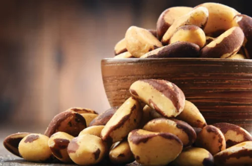 Brazil Nuts Provide Incredible Health Benefits